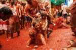 what is la tomatina, la tomatina 2018, la tomatina 2019 thousands hurl fruit at fun food festival, La tomatina