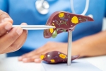 Liver Health, Liver Health latest, factors that worsens your liver health, Obesity