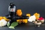 sawan shivratri 2019 date, Lord Shiva, maha shivratri 2019 visit these lord shiva temples to witness best of the maha shivratri, Maha shivratri