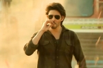 Sree Leela, Guntur Kaaram shoot, major changed for mahesh babu s guntur kaaram, Pooja hegde