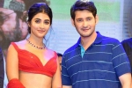 Pooja Hegde new film, Pooja Hegde next movie, mahesh babu all set to romance pooja hegde again, Maharshi