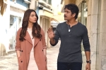 Nagarjuna movie review, Manmadhudu 2 movie review and rating, manmadhudu 2 movie review rating story cast and crew, Manmadhudu 2