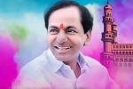 Saudi, AIMIM followers, nris in saudi celebrate trs victory, Telangana rashtra samithi