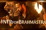 Brahmastra breaking news, NTR guest for Brahmastra, ntr turns chief guest for brahmastra event, Back pain