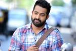 KS Ravindra, Kalyanram, official ntr s next film locked, Sardar gabbar singh KS Ravindra, Kalyanram, official ntr s next film locked, Sardar gabbar singh