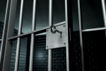 Punjab, Haryana, hc granted bail to nri who sheltered nabha jailbreakers, Ludhiana