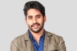 Naga Chaitanya, Asian Cinemas, interesting title for naga chaitanya s next, Majili