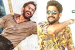 Naga Chaitanya upcoming movies, Naga Chaitanya breaking news, naga chaitanya gearing up with two films, D day posters