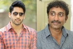 Naga Chaitanya updates, Naga Chaitanya new films, naga chaitanya to work with srinu vaitla, Mister