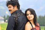 Nagarjuna latest, Nagarjuna new film, nag and anushka to team up, Om namo venkatesaya Nagarjuna latest, Nagarjuna new film, nag and anushka to team up, Om namo venkatesaya