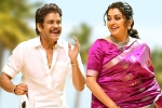 Bangarraju, Bangarraju release updates, nagarjuna s bangarraju turns hot among sankranthi releases, Kalyaan dhev