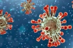 India coronavirus, China, new china coronavirus variant traced in india, Odisha