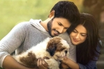 Ninu Veedani Needanu Nene rating, Ninu Veedani Needanu Nene movie story, ninu veedani needanu nene movie review rating story cast and crew, Tada