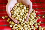 Pistachios latest, Pistachios advantages, pistachios are a perfect protein snack, Love