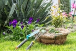 Plants that attract Snakes names, Plants that attract Snakes news, five plants that attract snakes at home, Trance