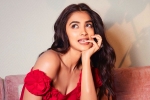 Pooja Hegde, Pooja Hegde next film, pooja hegde in talks for a biggie, Shahid kapoor