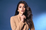 Pooja Hegde remuneration, Pooja Hegde Hindi, pooja hegde lines up bollywood films, Shahid kapoor