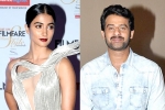 Prabhas, Pooja Hegde next movie, pooja hegde all set to romance prabhas, Saakshyam