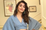 Pooja Hegde new film, Sriram Venu, pooja hegde in pink remake, Taapsee