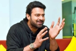 Prabhas25 updates, Prabhas25 cast, prabhas 25th film announced, Kabir singh