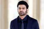 Prabhas upcoming films, Prabhas Raja Deluxe, new updates of prabhas and maruthi film, Raja deluxe Prabhas upcoming films, Prabhas Raja Deluxe, new updates of prabhas and maruthi film, Raja deluxe