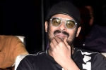Prabhas, Prabhas and Maruthi Film shooting news, prabhas next film launched, Raja deluxe Prabhas, Prabhas and Maruthi Film shooting news, prabhas next film launched, Raja deluxe