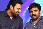 Prabhas and Maruthi film news, Maruthi, new title for prabhas and maruthi film, Nidhhi agerwal