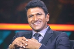 Puneeth Rajkumar, Puneeth Rajkumar health updates, kannada actor puneeth rajkumar is no more, Kannada actor