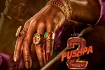 Pushpa: The Rule Allu Arjun, Pushpa: The Rule updates, allu arjun s dedication for pushpa the rule, Anasuya