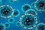 R.1 Coronavirus, USA, r 1 variant of coronavirus traced in 35 countries, Mutants