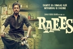 story, 2017 Hindi movies, raees hindi movie, Nikki galrani