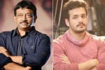 Ram Gopal Varma updates, Akhil Akkineni, ram gopal varma to direct akhil, Rgv twitter