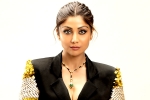 Shilpa Shetty projects, Shilpa Shetty latest, shilpa shetty s juhu residence robbed, Robbery