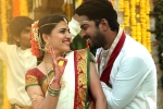 Silly Fellows movie review and rating, Silly Fellows movie review and rating, silly fellows movie review rating story cast and crew, Nandini rai