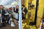 Singapore Airlines, Singapore Airlines turbulence horror, one dead and 30 injured in singapore airlines turbulence horror, Singapore airlines