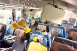 Singapore Airlines turbulence, Singapore Airlines breaking, singapore airlines statement after turbulence horror, Singapore airlines