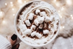 recipe, recipe, spend christmas this year with the best hot cocoa, Hot cocoa