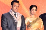 Sridevi latest updates, Salman Khan updates, sridevi to work with salman khan, English vinglish