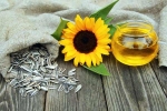 Sunflower seeds disadvantages, Sunflower seeds breaking, sunflower seeds and their nutritional benefits, Healthy skin
