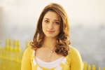 Tamannaah next film, Queen Remake, tamannaah locked for a bollywood remake, Milky beauty