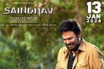 Saindhav release date, Venkatesh, venkatesh s saindhav locks new release date, Shraddha