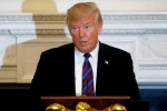 White House, Washington, trump warns of violent change if republicans lose midterms, Abortion
