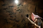 Wuhan CDC scientists, Wuhan CDC, a sensational video of scientists of wuhan cdc collecting samples in bat caves, Wuhan cdc news