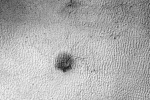 spider on Mars, Mars, yards long spider on mars nasa, Nasa scientists