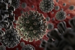 anti-parasitic drug, coronavirus, anti parasitic drug successful in killing coronavirus in 48 hours study, La biomed