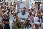 Pakistan, Bin Laden latest, bin laden continues to mobilize jihadists ten years after his death, Al qaeda