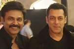 Salman Khan, Salman Khan, watch salman khan shake legs with venkatesh at his daughter aashritha daggubati s wedding, Bollywood star salman khan