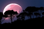 supermoon, supermoon, april s super pink moon to rise today biggest of the year, Supermoon