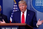 immigration, coronavirus, president trump to temporarily suspend immigration to us, American citizen