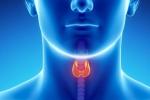 Throat Cancer types, Throat Cancer types, how to prevent throat cancer, F cell car